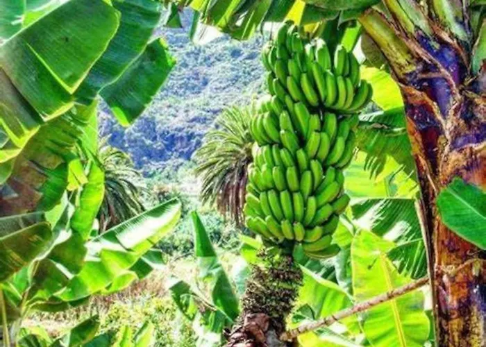 Appartement Precioso Estudio En *