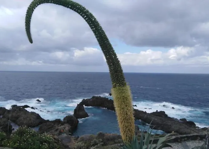 Precioso Estudio En Apartament