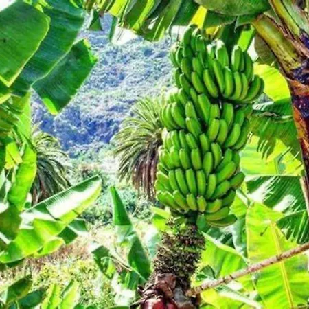 Apartamento Precioso Estudio En *