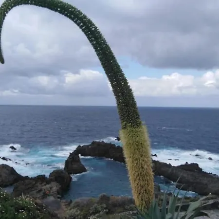 Precioso Estudio En Apartamento